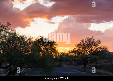 Ein Sonnenuntergang über einer natürlichen Landschaft Stockfoto