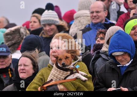 Die Zuschauer beobachten die Schwimmer des Neujahrstages beim jährlichen Schwimmen der RNLI-Gaffers in der Stokes Bay, Gosport Hants, dem rauen Meer. Pic Mike Walker,2015 Mike Walker Pictures. Stockfoto