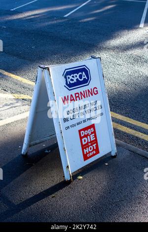 Hunde sterben in heißen Autos RSPCA-Warnschild Stockfoto