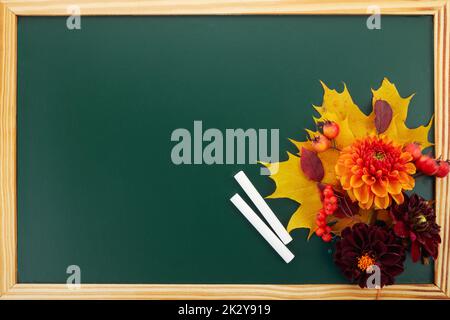 Komposition mit Blumen auf grüner Tafel und Platz für Text. Tag des Lehrers Stockfoto