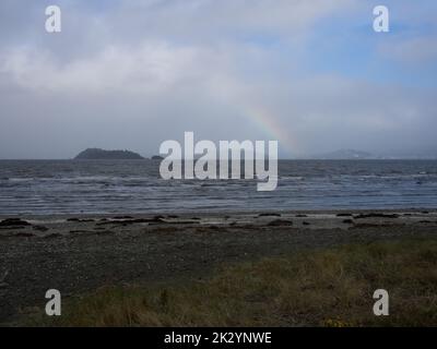 Wellington Harbor Von Petone Foreshore Stockfoto