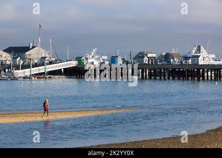 Besucher, der MacMillan Wharf/Pier von einer Sandbar in Provincetown, Cape Cod, Massachusetts aus betrachtet. Stockfoto