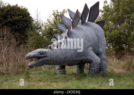 Lebensgroßes Modell von Stegosaurus ein pflanzenfressender, vierbeiniger, gepanzerter Dinosaurier aus dem späten Jurassicd, All Things Wild, Honeybourne, Großbritannien Stockfoto