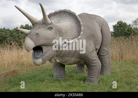 Dinosaurier-Modell von Triceratops All Things Wild, Honeybourne, Großbritannien Stockfoto