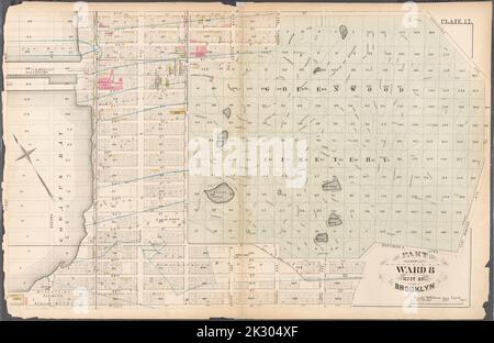 Kartografisch, Karten. 1880. Lionel Pincus und Prinzessin Firyal Map Division. Brooklyn (New York, N.Y.), Immobilien , New York (Bundesstaat) , New York Plate 17: Begrenzt durch 21. Street, Gravesend Avenue, Fort Hamilton Avenue, Martense's Lane, 37. Street, Eight Avenue, 40. Street und (Gowanus Bay) Third Avenue. Platte 17: Teil von ward 8 City of Brooklyn. Stockfoto