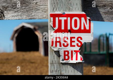 Was bleibt von einem Zeichen, das lautet "VORSICHT PFERDE KÖNNEN BEISSEN". Das Schild ist an einen Holzzaun genagelt und scheint teilweise gefressen worden zu sein. Stockfoto