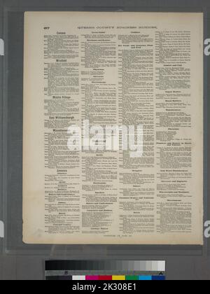 Kartografisch, Karten. 1873. Lionel Pincus und Prinzessin Firyal Map Division. Long Island (New York) , Beschreibung und Reise Queens County Business Notices. Corona - Hempstead. Stockfoto