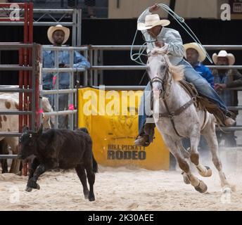 Upper Marlboro, Maryland, USA. 23. September 2022. TRAYSON GRAVES, 14, tritt beim Ladies Break Away Event während der Qualifikation der Bill Pickett Invitational Rodeo Championships in der Show Place Arena in Upper Marlboro, MD, an. Das Rodeo-Finale findet am Samstagabend statt. (Bild: © Brian Branch Price/ZUMA Press Wire) Bild: ZUMA Press, Inc./Alamy Live News Stockfoto