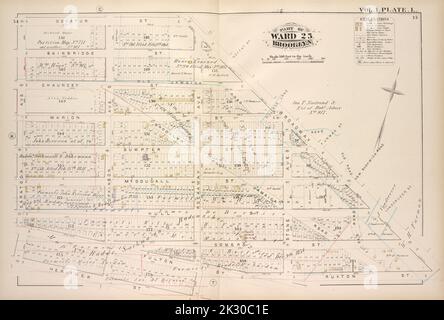 Kartografisch, Karten. 1880. Lionel Pincus und Prinzessin Firyal Map Division. Brooklyn (New York, N.Y.), Immobilien , New York (Bundesstaat) , New York Vol. 1. Plate, L. Karte in Richtung Decatur St., Broadway, Ruxton St., Rockaway Ave., Herkimer St., Saratoga Ave.; Einschließlich Bainbridge St., Chauncey St., Marion St., Sumpter St., Mc Dougall St., Hull St., Somers St., Fulton St., Hopkinson Ave., Stone Ave Stockfoto