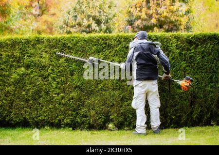 Ein Gärtner kümmert sich um eine Hecke, in einem Park oder in der Nähe einer privaten Hütte. Gartenkonzept. Stockfoto