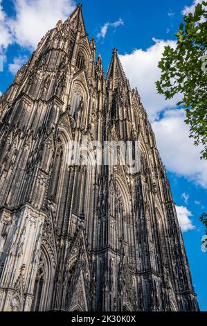 Deutschland, Nordrhein-Westfalen, Köln, Niederwinklige Ansicht des Kölner Doms Stockfoto