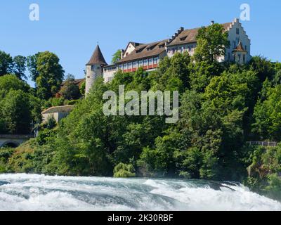 Schweiz, Kanton Zürich, Grüne Bäume zwischen Rheinfall und Schloss Laufen Stockfoto