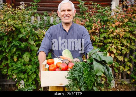 Lächelnder älterer Mann mit frisch geerntetem Gemüse Stockfoto