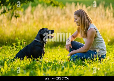 Glückliche Frau mit schwarzem Labrador auf der Wiese Stockfoto