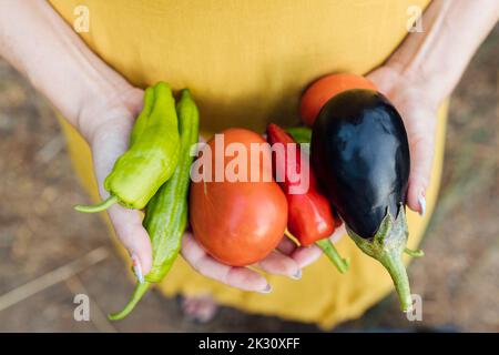 Tomaten mit Auberginen und Paprika in der Hand des Bauern Stockfoto