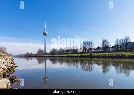 Deutschland, Baden-Württemberg, Mannheim, Neckar fließt durch den Luisenpark mit Fernsehturm im Hintergrund Stockfoto