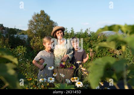 Ältere Frau mit Enkeln, die inmitten von Pflanzen im Blumengarten stehen Stockfoto