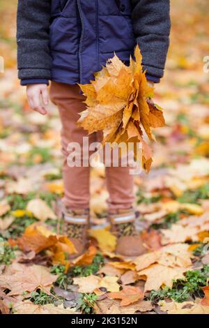 Hand des Jungen mit Herbstblättern Stockfoto