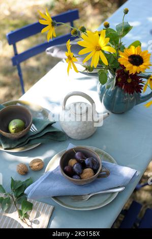 Teekannen, Vase mit blühenden Blumen, Pflaumen und Walnüssen auf herbstlich dekorierten Tisch Stockfoto