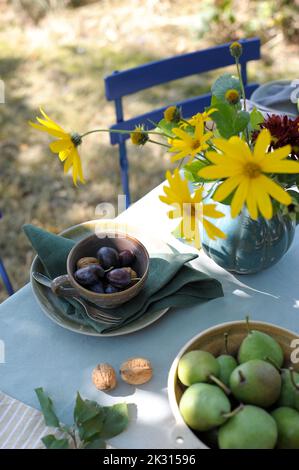 Vase mit blühenden Blumen, Pflaumen, Walnüssen und Birnen auf herbstlich dekorierten Tisch Stockfoto