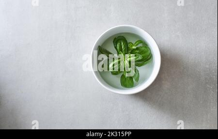 Basilikum (Ocimum basilicum) in einer kleinen, mit Wasser gefüllten Schüssel Stockfoto