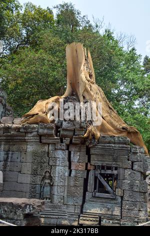 Der Preah Khan-Tempelkomplex am nördlichen Rand des Angkor Archaeological Park ist eines der bedeutendsten Gebäude, das während der Zeit errichtet wurde Stockfoto