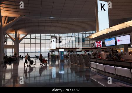 Reisende schieben Gepäckwagen am Haneda International Airport Terminal, Tokio, Japan Stockfoto