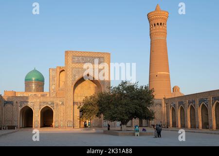 BUCHARA, USBEKISTAN - 08. SEPTEMBER 2022: Sonniger Abend auf dem Gebiet der alten Po-i-Kalyan-Madrasa Stockfoto