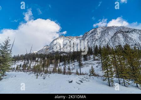 Blick auf den Banff Park entlang des Bow Valley Parkway im Winter Stockfoto