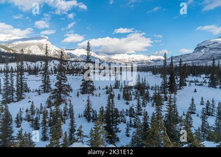 Blick auf den North Saskatchewan River im Jasper Park entlang des Icefields Pkwy im Winter Stockfoto