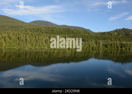 Der Pend-Oreille River, ein Nebenfluss der Columbia, der durch den Colville National Forest im Nordosten des US-Bundesstaates Washington fließt. Stockfoto