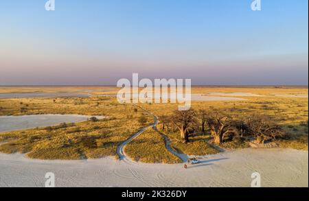 Luftaufnahme des Campingwagens vor den Boabab-Bäumen, Botswana Stockfoto