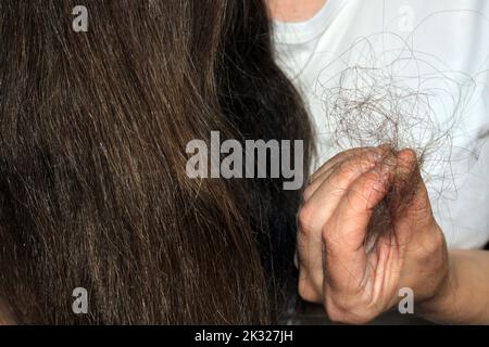 Ein Mädchen mit langen dunklen Haaren hält einen Haufen gefallener Haare in der Hand. Haarausfall Problem. Stockfoto