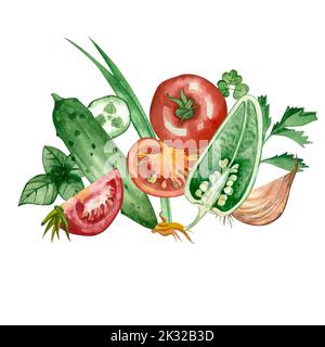 Aquarell-Zusammensetzung von farbigem Gemüse: Tomaten, Paprika, Basilikum, Petersilie, Gurke, Zwiebel auf weißem Hintergrund. Eine großartige Menüoption. Stockfoto