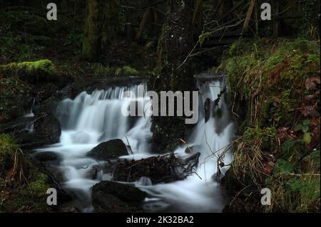 Nebenfluss der Afon Rhiwddolion. Stockfoto