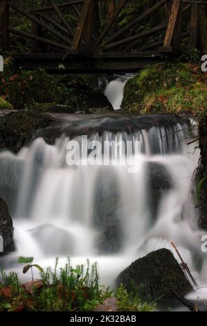 Nebenfluss der Afon Rhiwddolion. Stockfoto