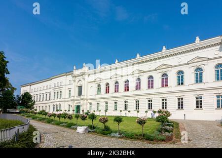 Halle (Saale): Leopoldina-Hauptgebäude (ehemals Lodge der drei Schwerter) in , Sachsen-Anhalt, Sachsen-Anhalt, Deutschland Stockfoto