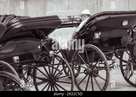 Palma de Mallorca, Spanien; 23. August 2022: Mann mit weißem Hut sitzt in einer Pferdekutsche Stockfoto