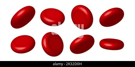Blutrote Zelle 3D Hämostase Herz Kreislauf. Vaskuläre Erythrozyte rote Blutkörperchen isoliert. Stock Vektor
