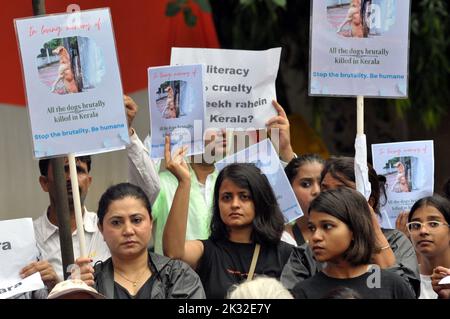 Neu-Delhi, Delhi, Indien. 24. September 2022. Haustier und Tiere Liebhaber indischer Inder in Silet protestieren gegen Tierabues und fordern, dass Tiere am samstag in jantar mantar in Neu-Delhi mit einem Schutz vor Konsistenzguthaben geschützt werden (Bildnachweis: © Ravi Batra/ZUMA Press Wire) Bildnachweis: ZUMA Press, Inc./Alamy Live News Stockfoto