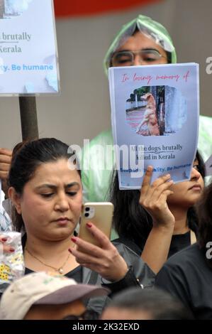 Neu-Delhi, Delhi, Indien. 24. September 2022. Haustier und Tiere Liebhaber indischer Inder in Silet protestieren gegen Tierabues und fordern, dass Tiere am samstag in jantar mantar in Neu-Delhi mit einem Schutz vor Konsistenzguthaben geschützt werden (Bildnachweis: © Ravi Batra/ZUMA Press Wire) Bildnachweis: ZUMA Press, Inc./Alamy Live News Stockfoto