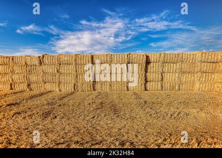 Panoramablick auf Heuballen auf geerntetem Weizenfeld in der Provence vor dramatischem blauen Himmel im Sommer Stockfoto