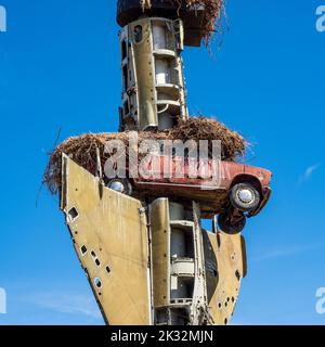 Open-Air-Werke, die das Konsumfieber im Vostell Museum für zeitgenössische Kunst in Malpartida (Cáceres) darstellen. Stockfoto