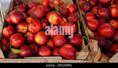 Reife frische rote Nektarinen in Kartons auf dem Markt Stockfoto