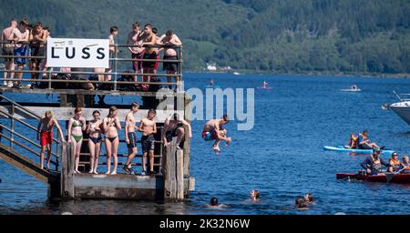 Die Menschen genießen den Sommer in Luss am Loch Lomond, Schottland, beim Springen und Schwimmen im kalten, frischen Wasser des loch. Stockfoto