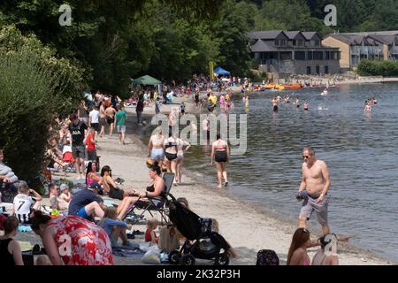 Die Menschen genießen den Sommer in Luss am Loch Lomond, Schottland, beim Springen und Schwimmen im kalten, frischen Wasser des loch. Stockfoto