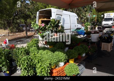 Leute, die am Samstagsmarkt einkaufen, verkaufen Blumen und Kräuter Vouliagmeni Athen Griechenland Stockfoto