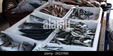 Fischstand Samstag Markt Vouliagmeni Athen Griechenland Stockfoto