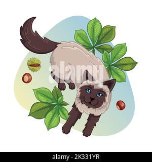 Siamkatze in Kastanienblatt. Niedliche Cartoon-Illustration. Schöne fertige Cliparts für Herbst-Grußkarten-Design. Konzept für die Gestaltung von Geschenkprodukten. Druck für dekorative Geschirr, Kleidung, Waren. Stock Vektor