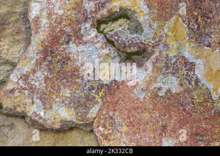 Textur der alten verputzten Wand mit Überresten von Farbe, Risse und grünem Moos. Hintergrund einer schäbigen Gebäudeoberfläche. Zerstörte Wand mit abgefallener Gips Stockfoto